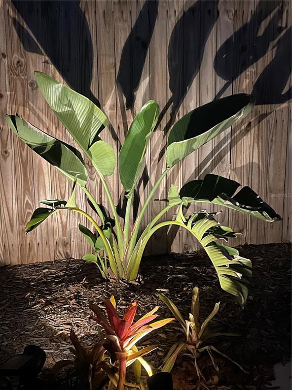 Building Photo - 828 S Tuttle Ave