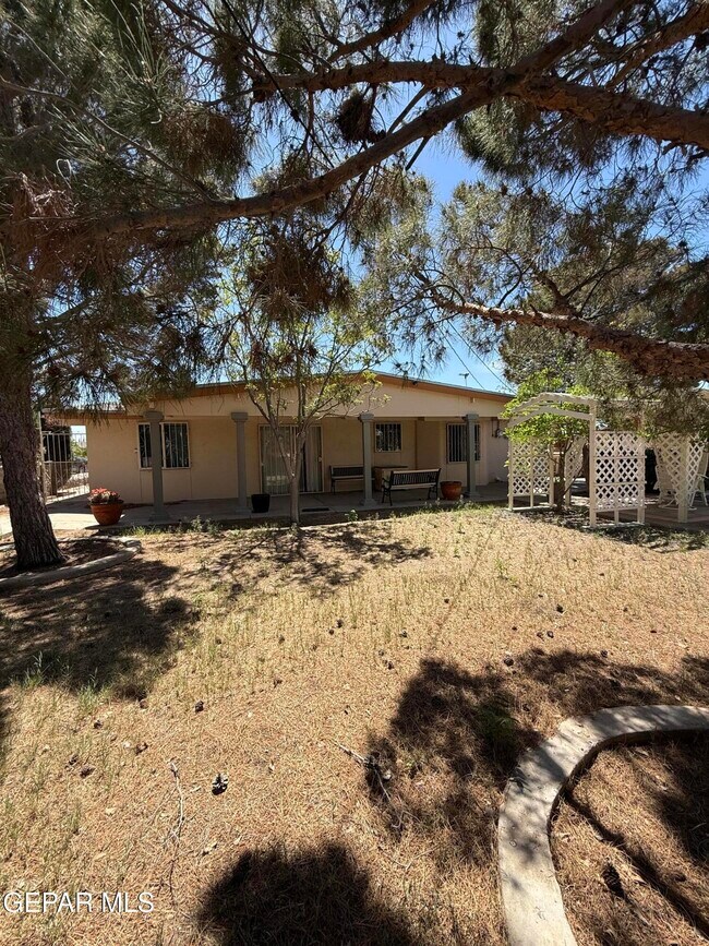 Building Photo - 10449 Chinaberry Dr