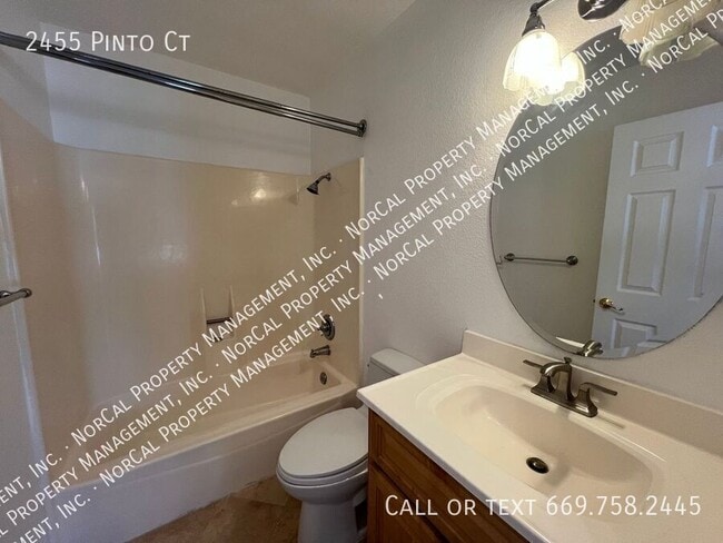 Building Photo - 2455 Pinto Ct