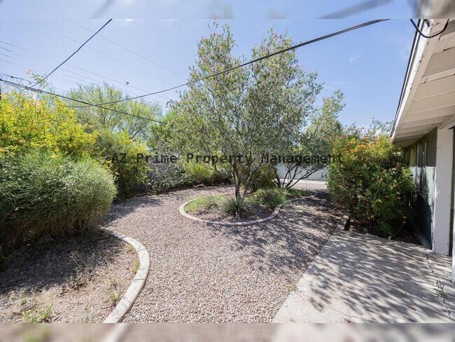 Building Photo - 6521 N 19th Dr