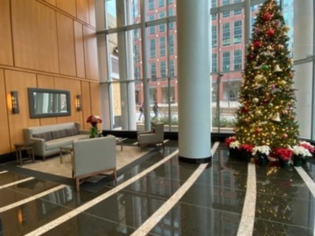 Building Photo - 345 N LaSalle St