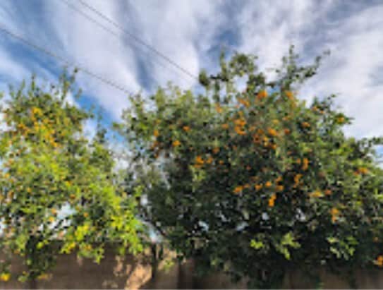 Building Photo - 7800 Fairchild Ave