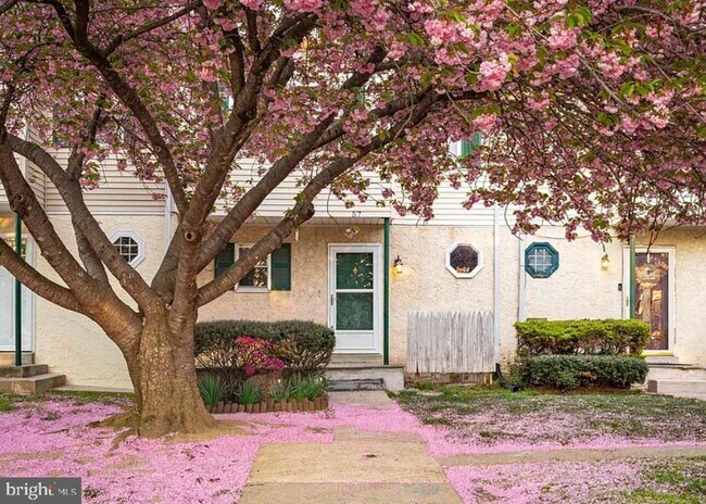 Building Photo - 57 Brighton Ct