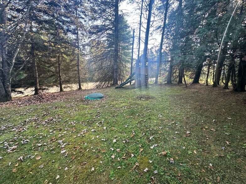 Backyard - 142 Bunker Hill Cir