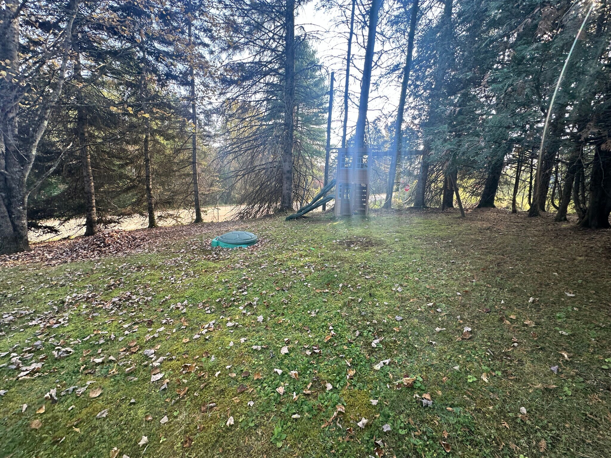 Backyard - 142 Bunker Hill Cir