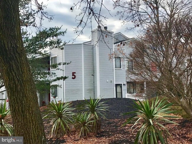 Primary Photo - 506 Shelby Ct