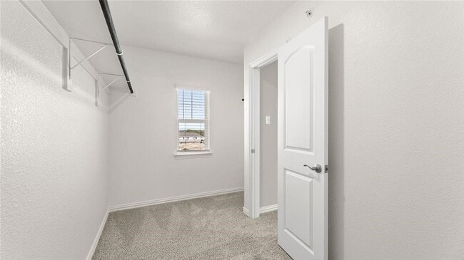 Building Photo - 3720 Paradise Way