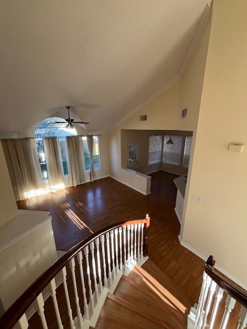 Building Photo - 12211 Meadow Park Ct