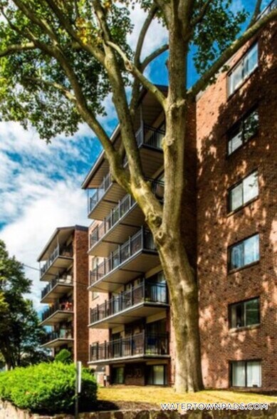 Building Photo - 245 Main St