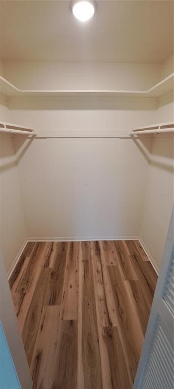 Building Photo - 3037 Park Ln