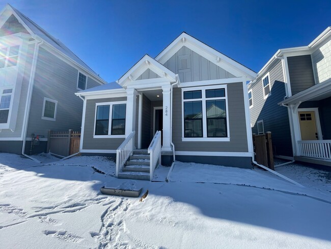 Building Photo - Brand new 3 bedroom home! Attached 2-car g...