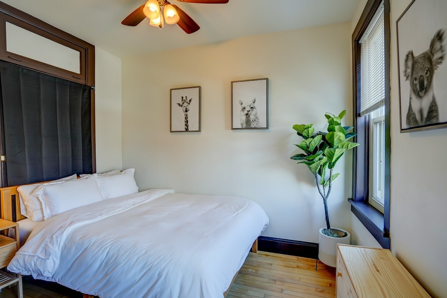 Building Photo - 1253 Williamson St