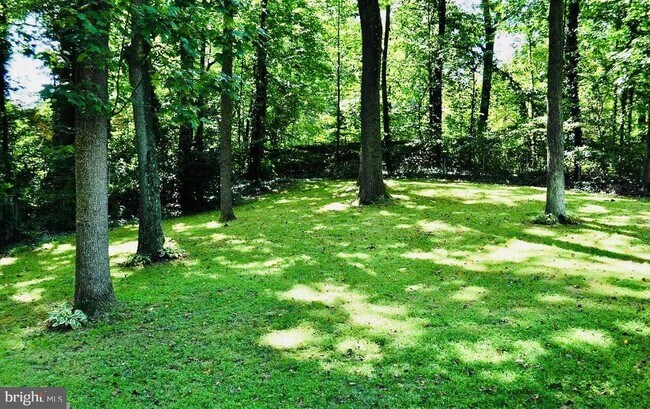 Building Photo - 3810 Lynn Regis Ct