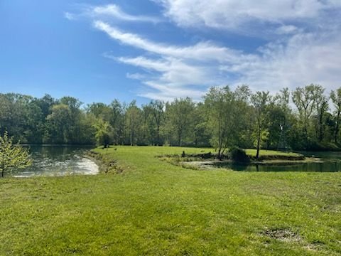 Building Photo - 2115 Pineshore Ct