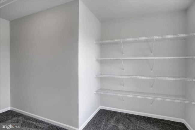 Building Photo - 1817 Holly Ln