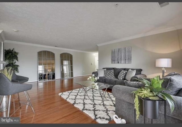 living room - 705 Harvest Run Dr