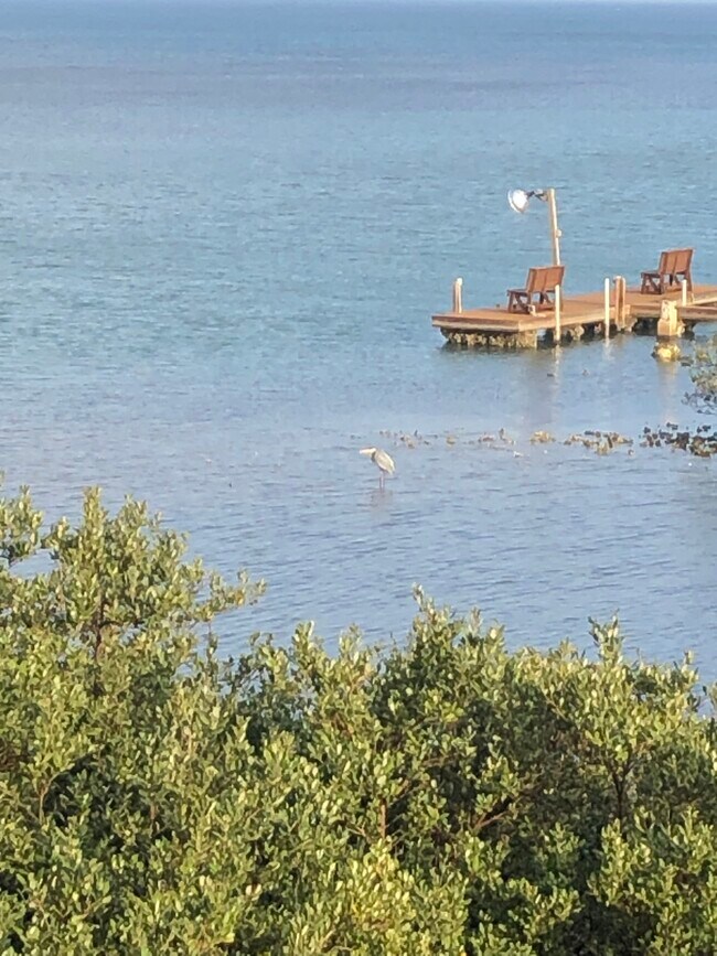 Building Photo - 208 W Saturn Ln