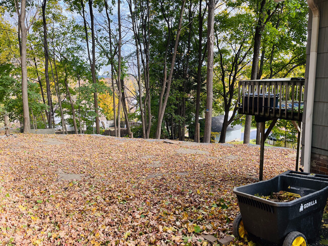 View of private backyard (.25 acre) - 14 Mountain Ave