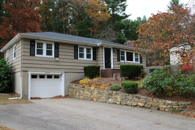 Building Photo - 61 Alton St