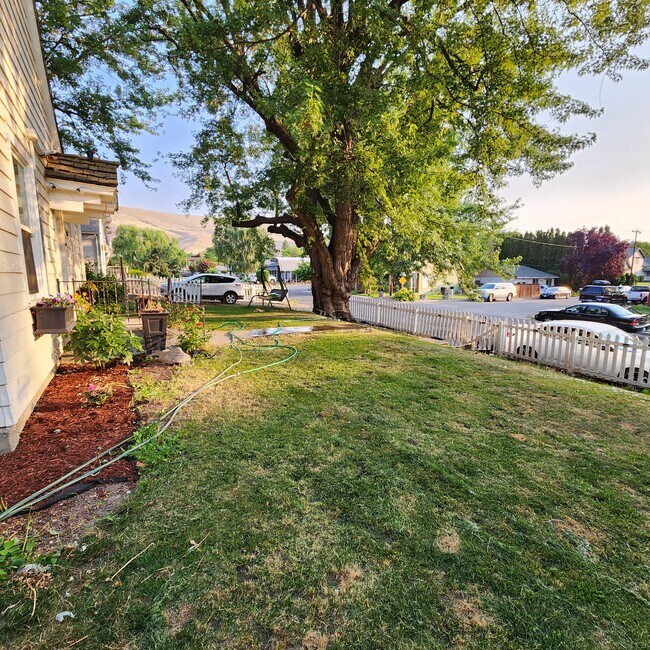 Building Photo - 1018 Court St