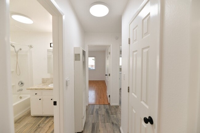 Building Photo - 1202 Buena Vista