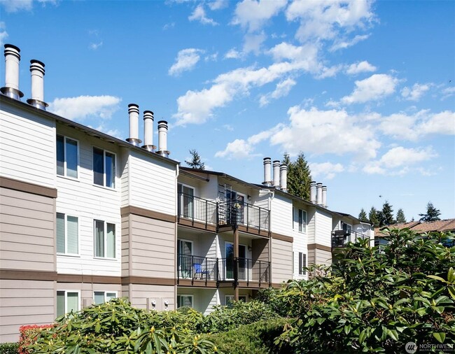 Primary Photo - 1Bd/1Ba Kirkland Apartment