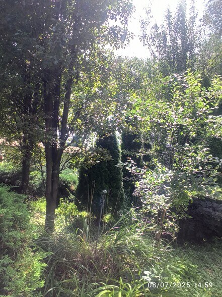 Back yard - 2826 67th St