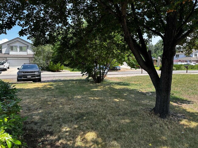 Building Photo - Wonderful 3 bed/2 bath duplex in Westminster!