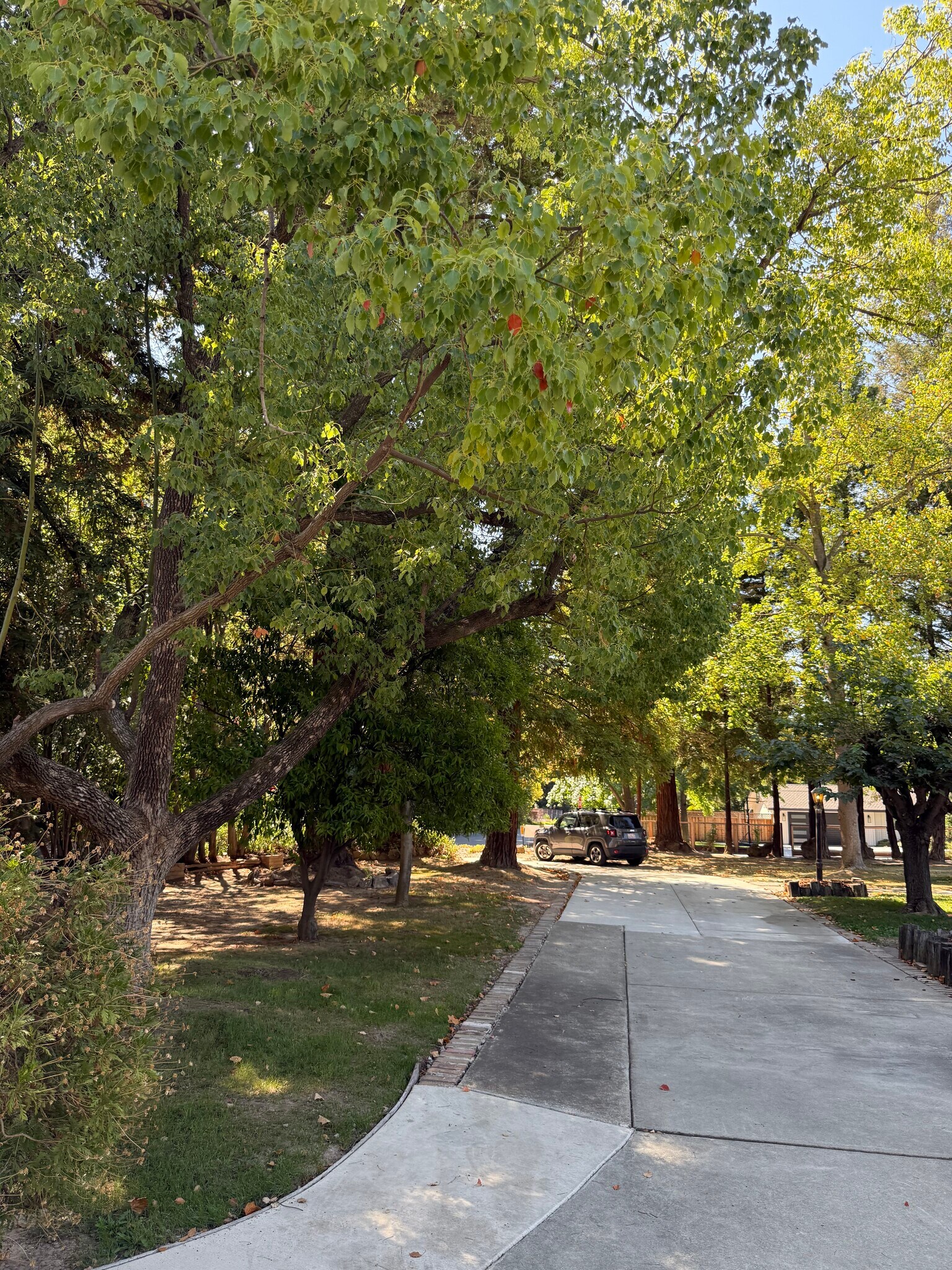Building Photo - 3099 Laurel Dr