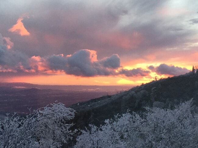 Building Photo - 28625 Willow Rd