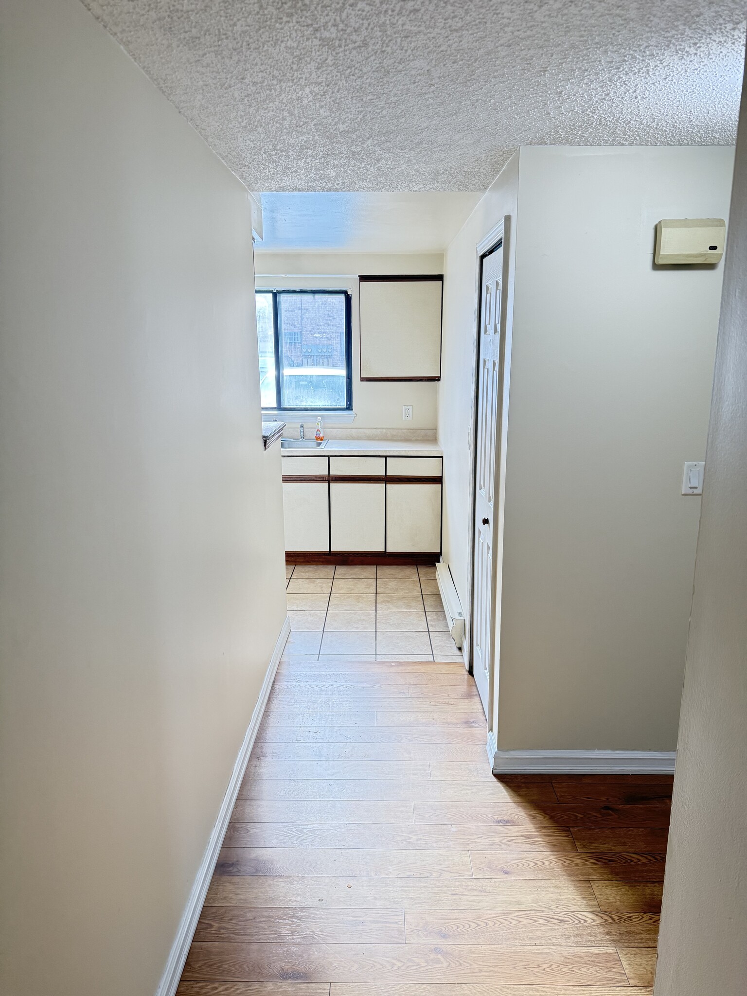 Hallway - 39 Lemon Tree Ct