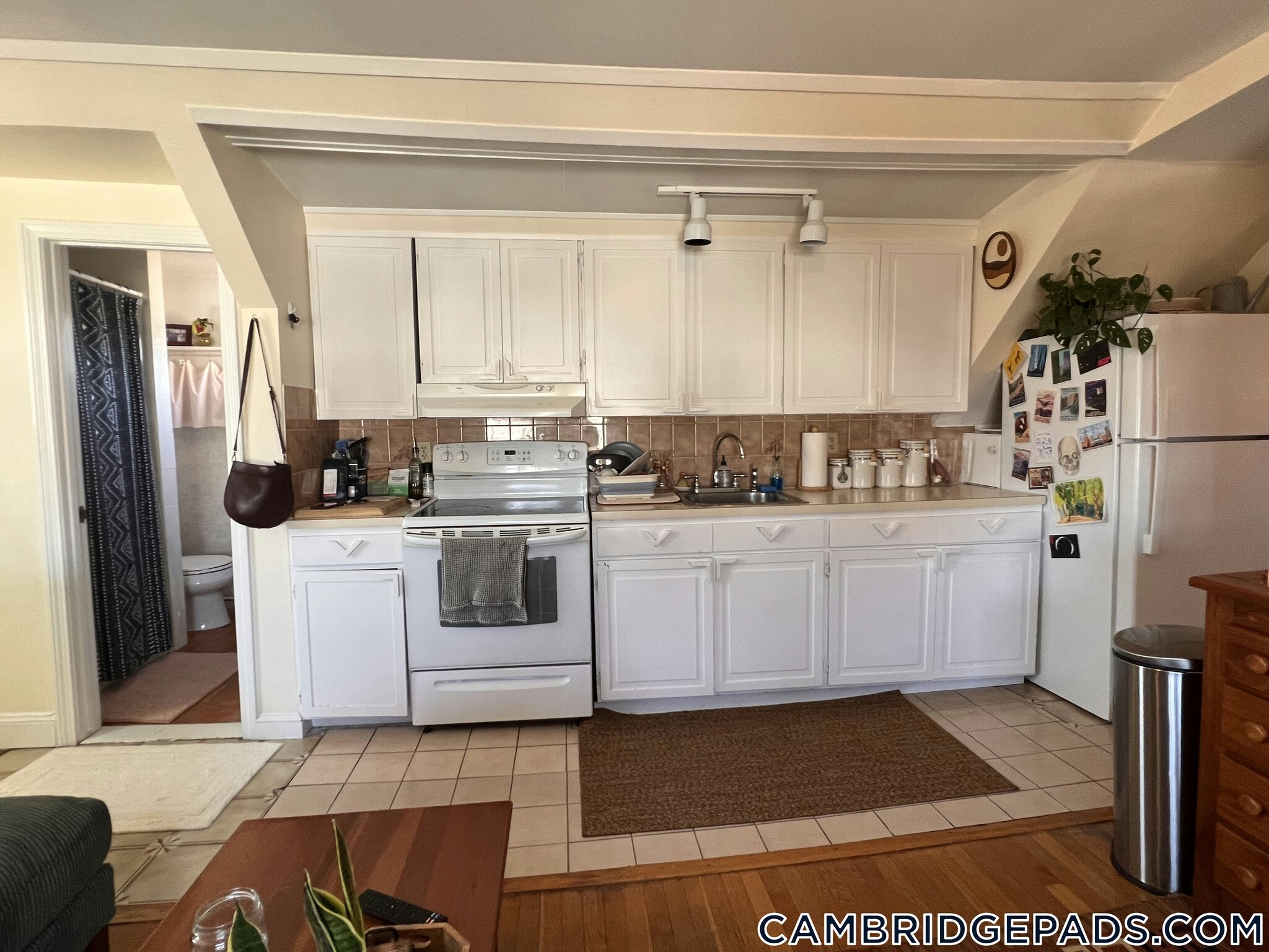 Building Photo - 9 Cedar St