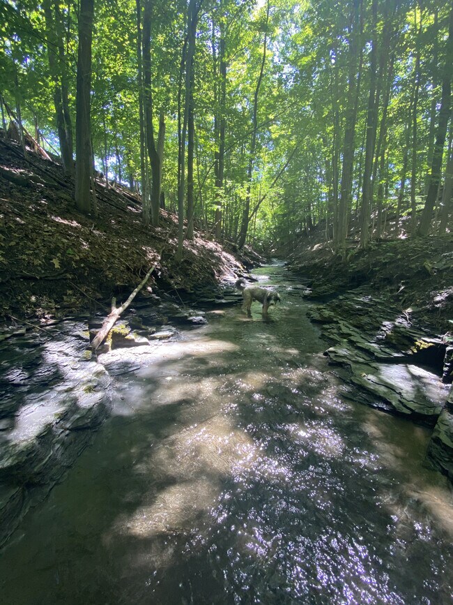 Building Photo - 2410 Oneida St