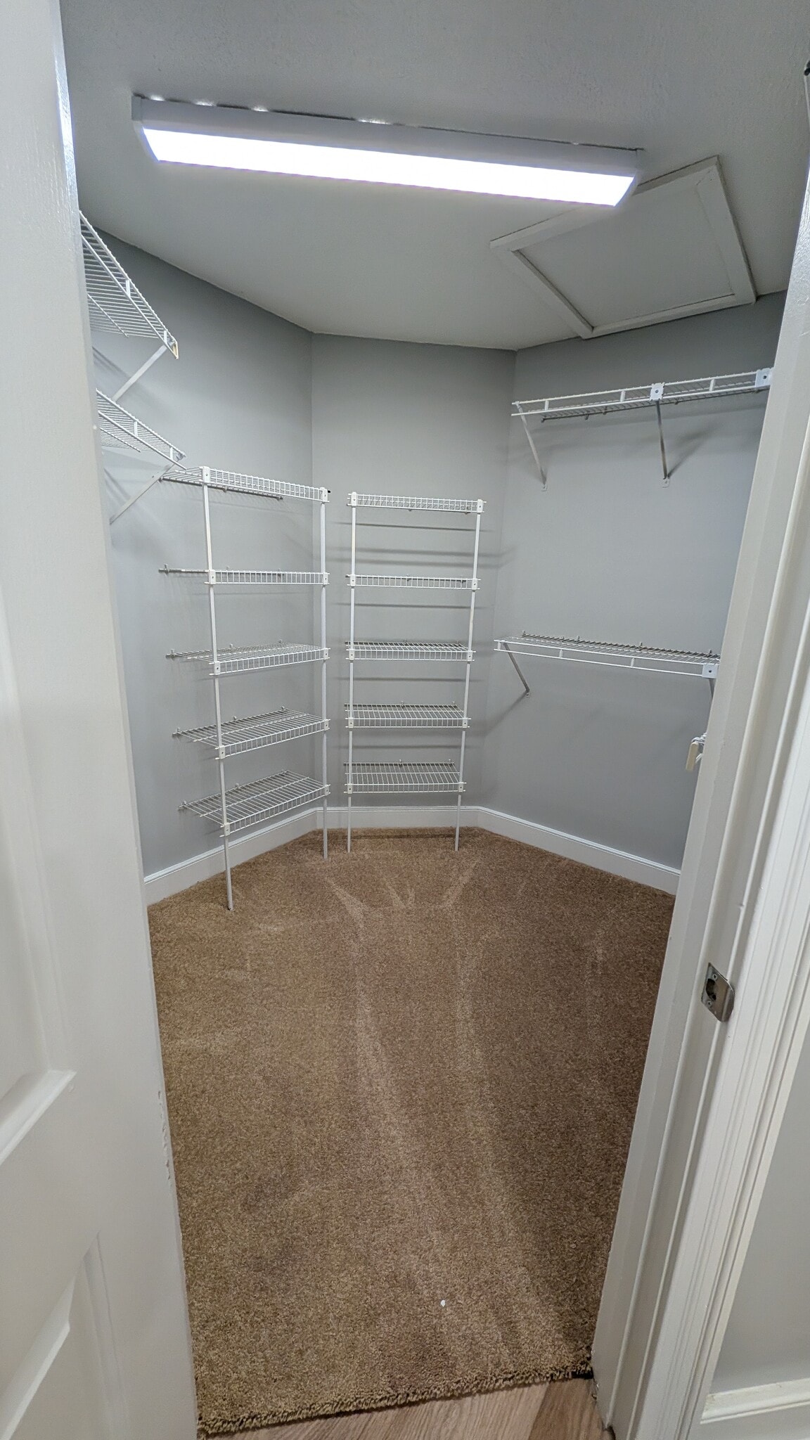 walk-in closet - 805 Spring Ln