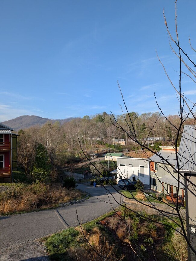 Building Photo - Swannanoa Rental