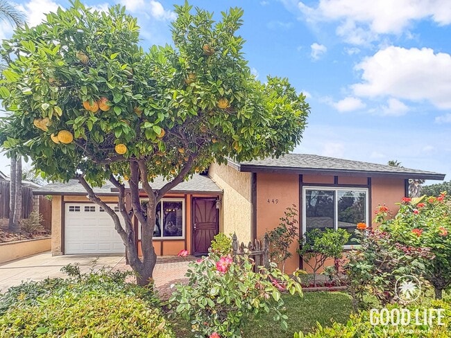 Building Photo - Renovated San Marcos Home with Fruit Trees & Large Yard