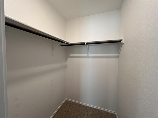 Building Photo - 5728 Brahma Trail