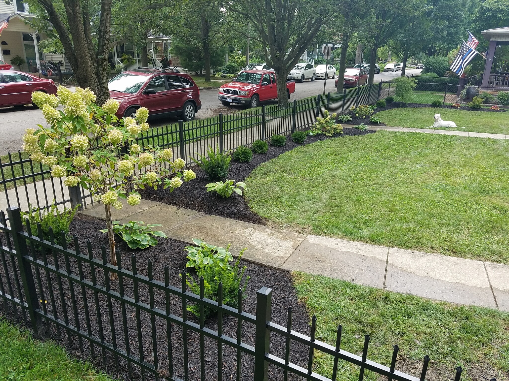 Front yard landscaping - 366 E Mithoff St