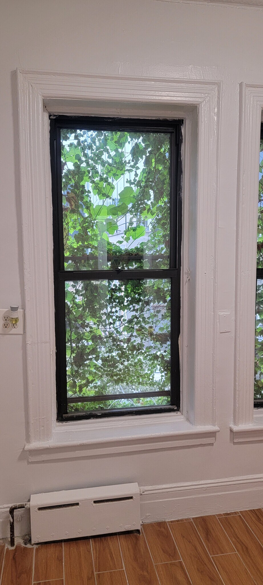 Building Photo - 4468 23rd St