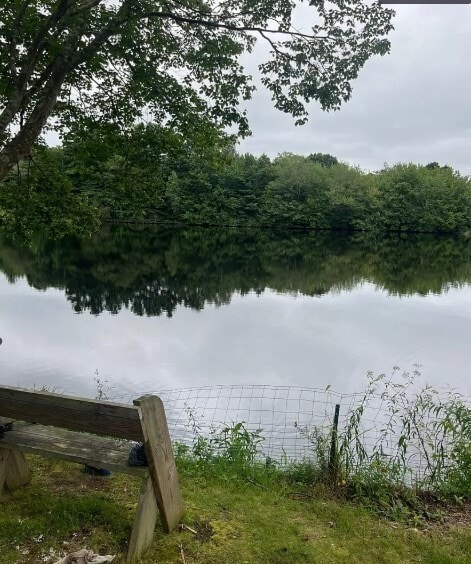 Building Photo - 126 Mansfield Ave