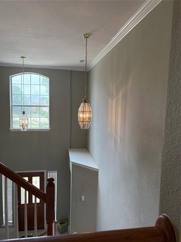 Building Photo - 9013 Crown Point Cir