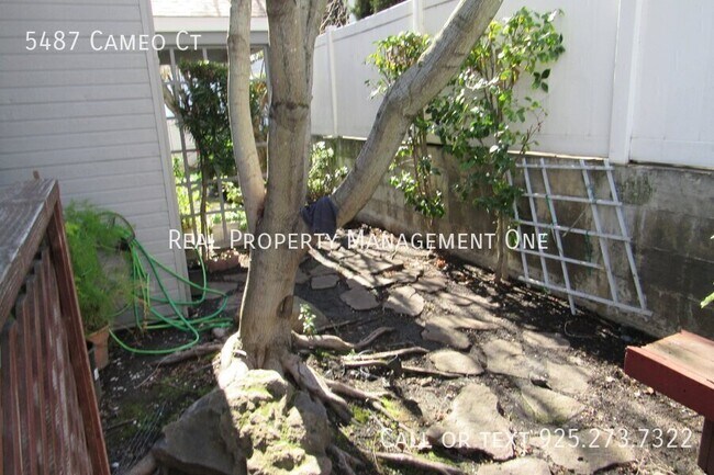 Building Photo - 5487 Cameo Ct