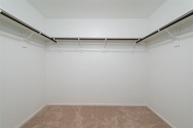 Building Photo - 2724 Evening Side Ct