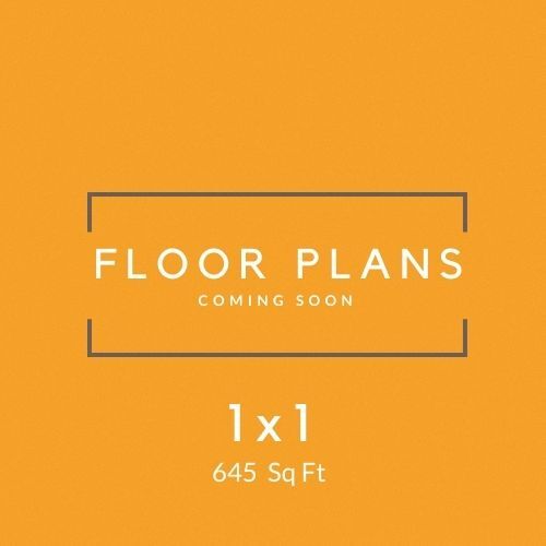 Floorplan - Bascom Village II