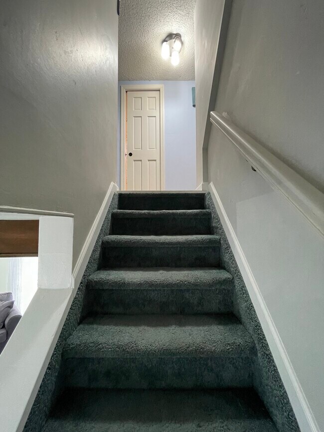 Carpeted stairs - 53 Cornwell Ave