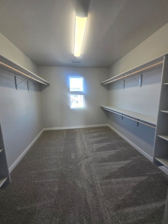 Building Photo - Beautiful Brand New home