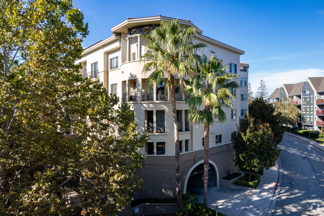 Building Photo - The Montecito Condominiums