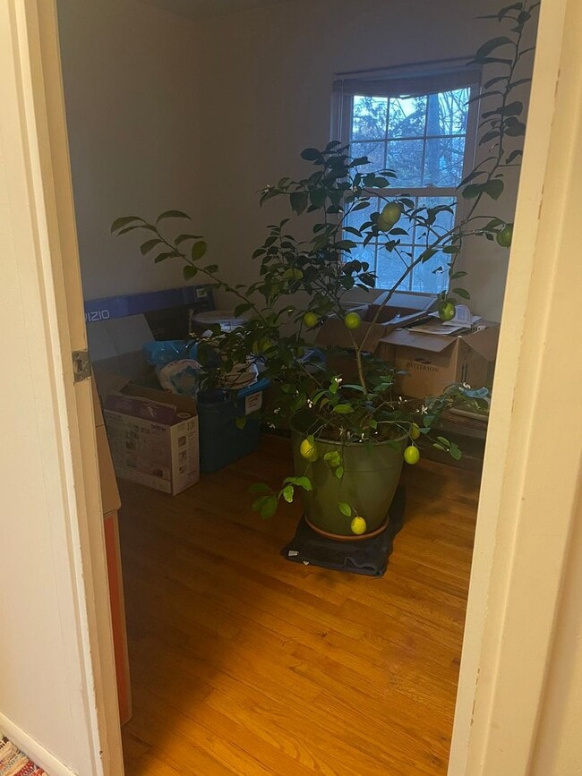 Building Photo - 3 bed, 1 1/2 Bath House