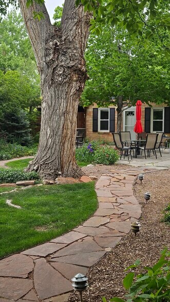 Huge front yard - 2238 Newton St