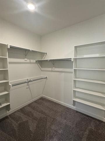 Building Photo - 1409 Corkwood Dr